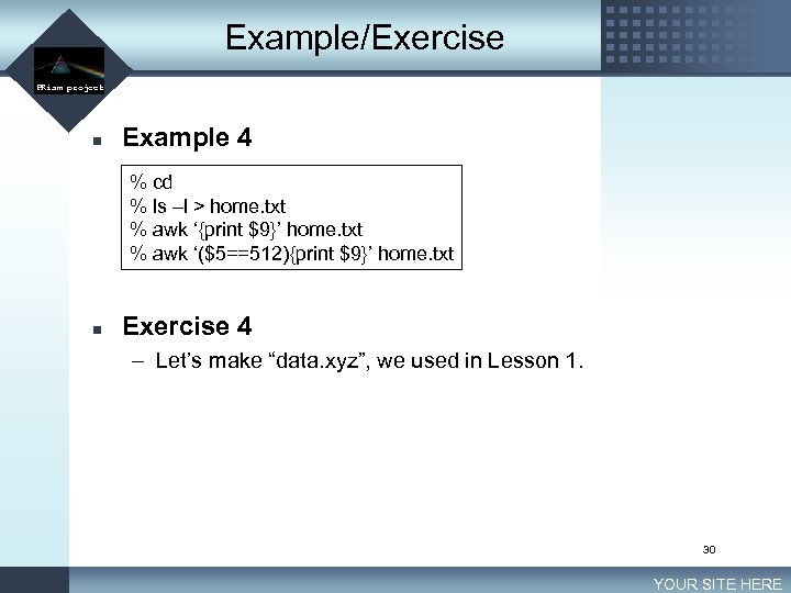 Example/Exercise LOGO PRism project n Example 4 % cd % ls –l > home.