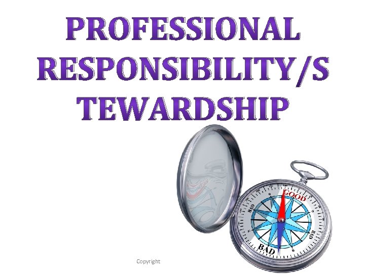 PROFESSIONAL RESPONSIBILITY/S TEWARDSHIP Copyright 2012 - Lighthouse Network 3 
