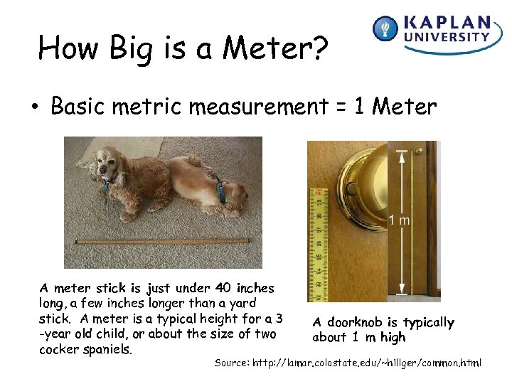 How Big is a Meter? • Basic metric measurement = 1 Meter A meter