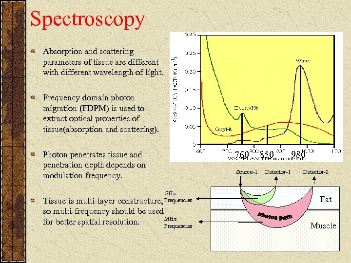 Spectroscopy Absorption and scattering parameters of tissue are different with different wavelength of light.