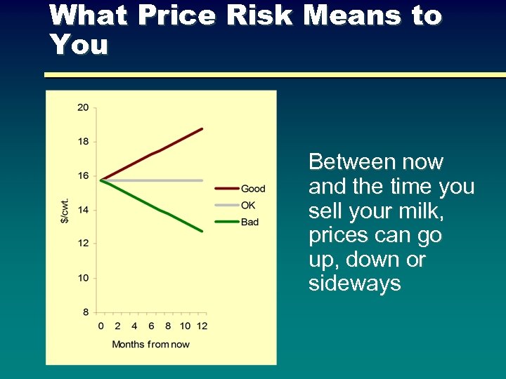 What Price Risk Means to You Between now and the time you sell your