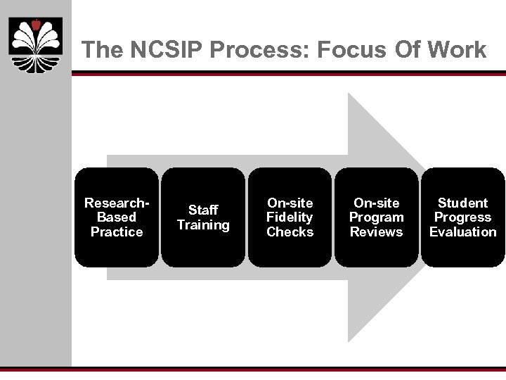 The NCSIP Process: Focus Of Work Research. Based Practice Staff Training On-site Fidelity Checks