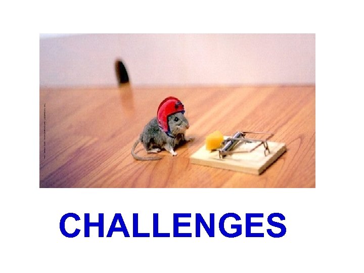 CHALLENGES 