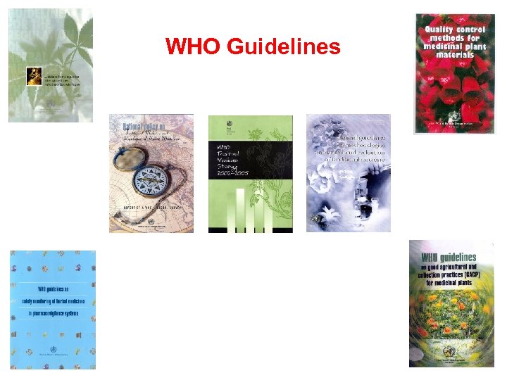 WHO Guidelines 