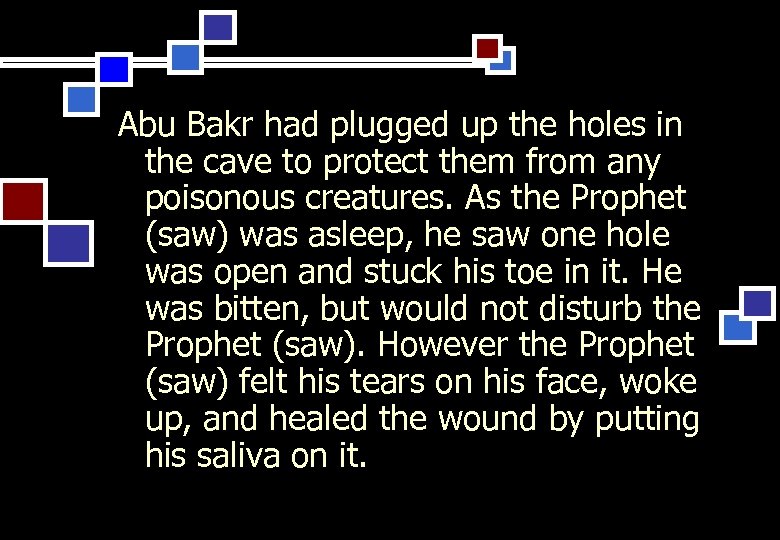 Abu Bakr had plugged up the holes in the cave to protect them from