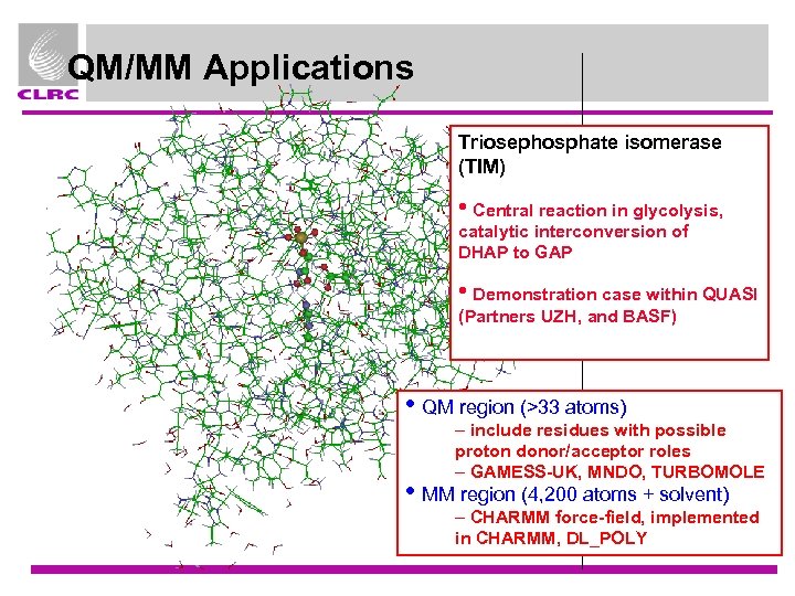 QM/MM Applications Triosephosphate isomerase (TIM) • Central reaction in glycolysis, catalytic interconversion of DHAP