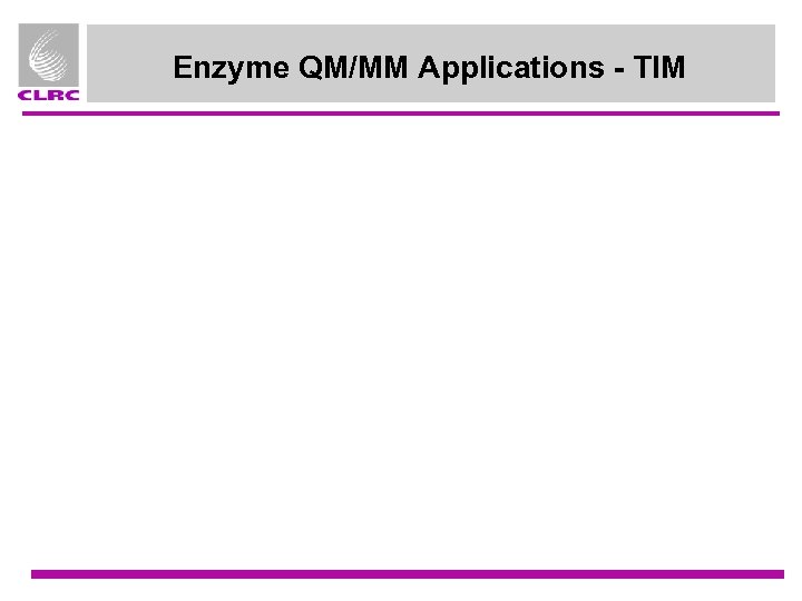 Enzyme QM/MM Applications - TIM 