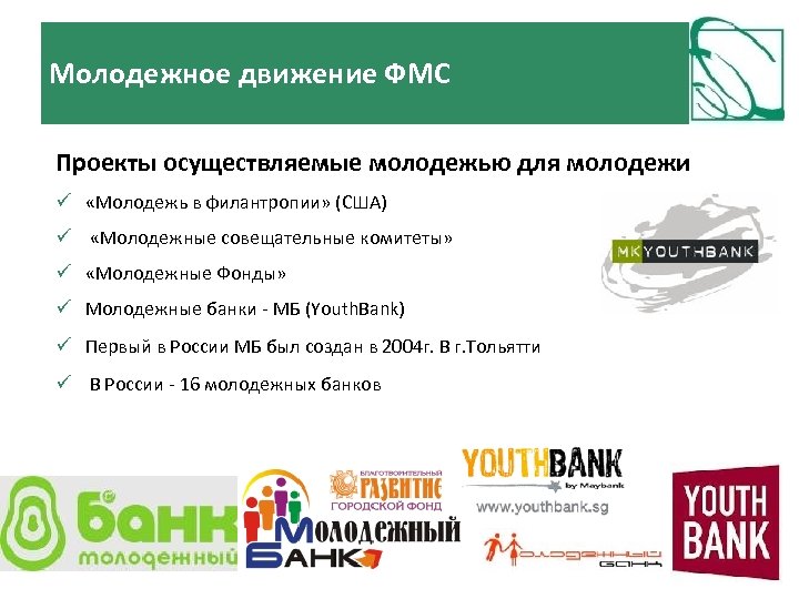 Молодежное движение ФМС Проекты осуществляемые молодежью для молодежи «Молодежь в филантропии» (США) «Молодежные совещательные