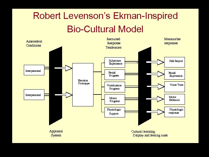 Robert Levenson’s Ekman-Inspired Bio-Cultural Model Recruited Response Tendencies Antecedent Conditions Measurable responses Subjective Experience