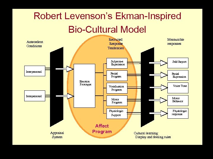 Robert Levenson’s Ekman-Inspired Bio-Cultural Model Recruited Response Tendencies Antecedent Conditions Measurable responses Subjective Experience
