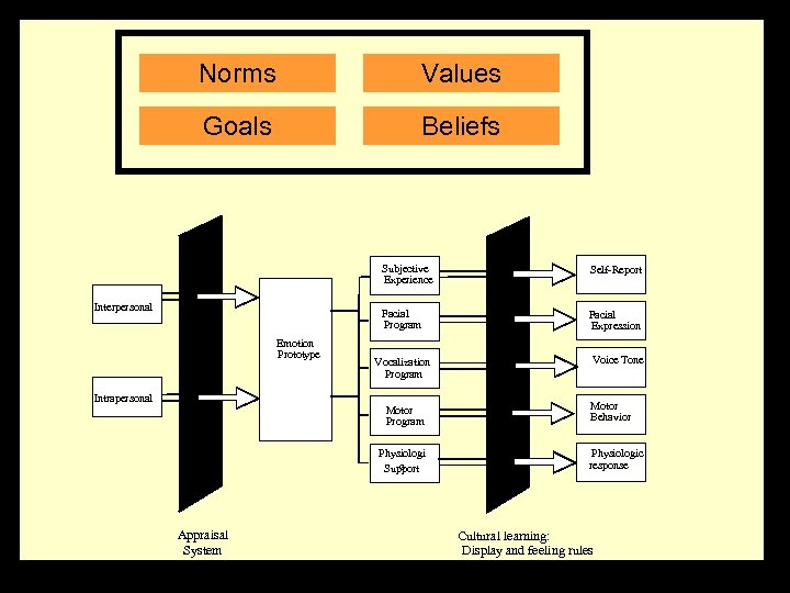 Norms Values Goals Beliefs Subjective Experience Facial Program Interpersonal Emotion Prototype Self-Report Facial Expression