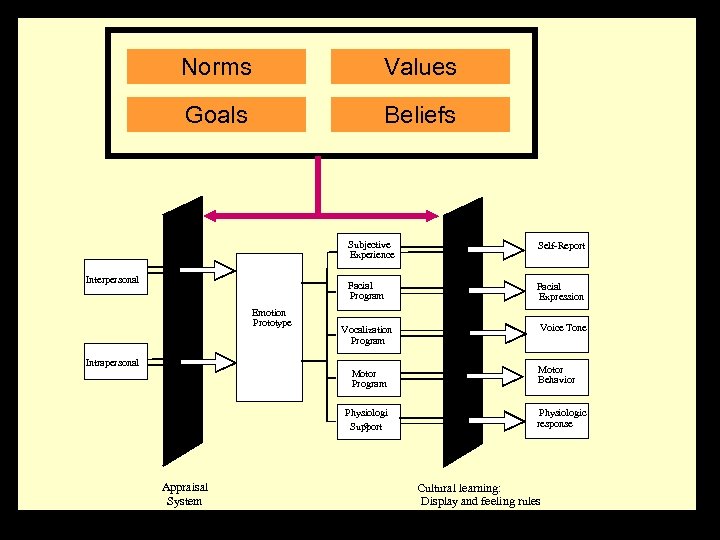 Norms Values Goals Beliefs Subjective Experience Facial Program Interpersonal Emotion Prototype Self-Report Facial Expression