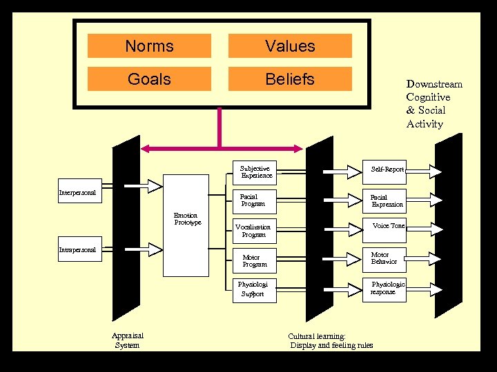 Norms Values Goals Beliefs Downstream Cognitive & Social Activity Subjective Experience Facial Program Interpersonal