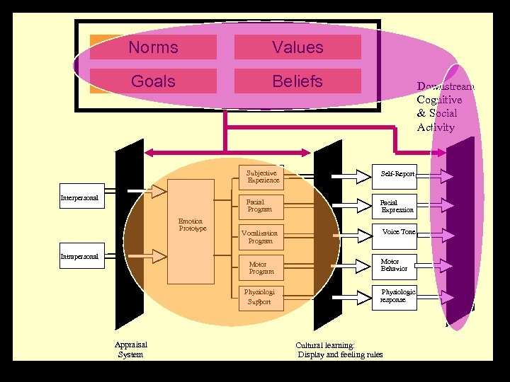 Norms Values Goals Beliefs Downstream Cognitive & Social Activity Subjective Experience Facial Program Interpersonal