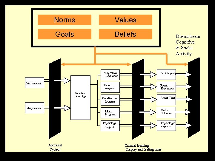 Norms Values Goals Beliefs Downstream Cognitive & Social Activity Subjective Experience Facial Program Interpersonal