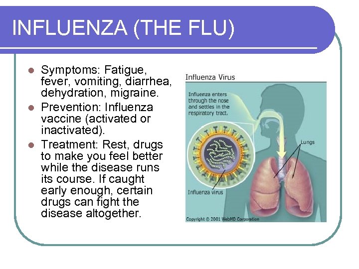 INFLUENZA (THE FLU) Symptoms: Fatigue, fever, vomiting, diarrhea, dehydration, migraine. l Prevention: Influenza vaccine
