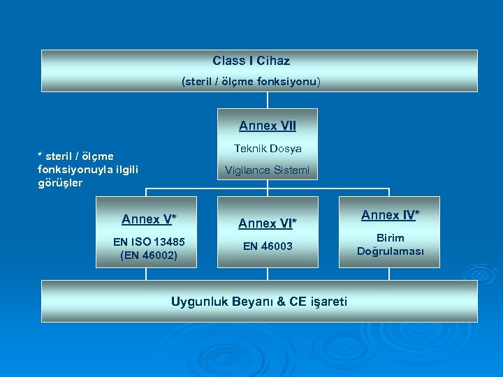 Class I Cihaz (steril / ölçme fonksiyonu) Annex VII Teknik Dosya * steril /