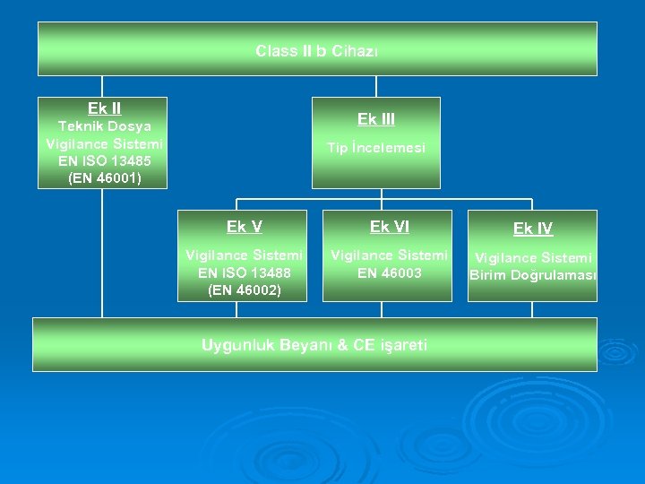 Class II b Cihazı Ek III Teknik Dosya Vigilance Sistemi EN ISO 13485 (EN