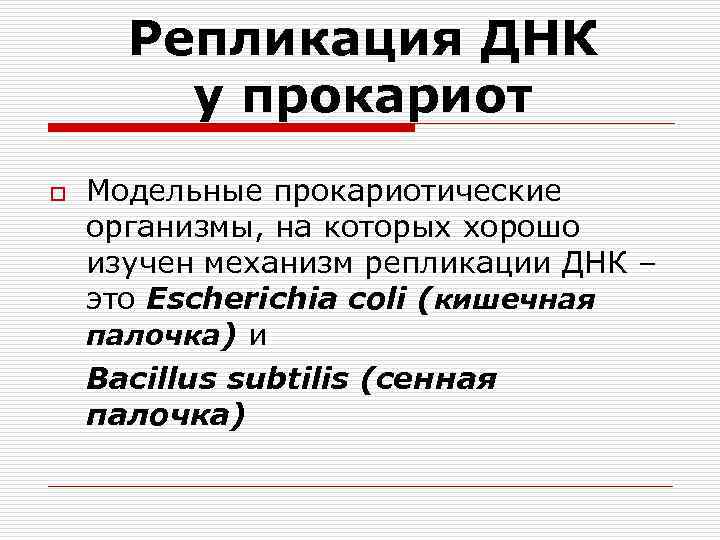 Репликация ДНК у прокариот o Модельные прокариотические организмы, на которых хорошо изучен механизм репликации