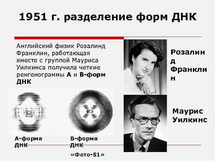 1951 г. разделение форм ДНК Английский физик Розалинд Франклин, работающая вместе с группой Мауриса