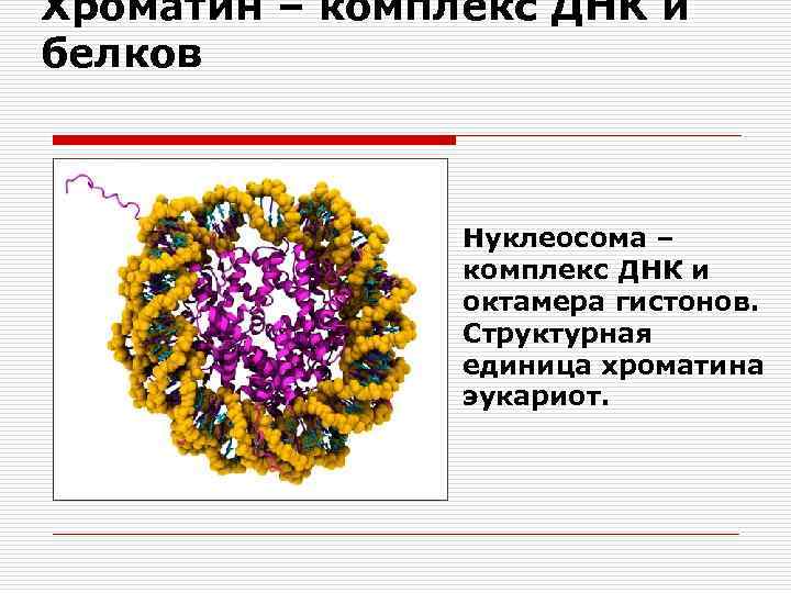 Молекулярная биология картинки