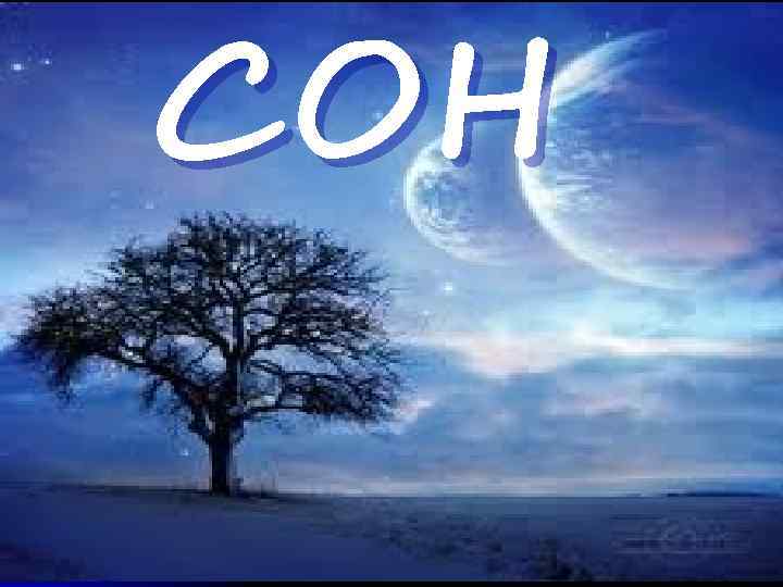 СОН 