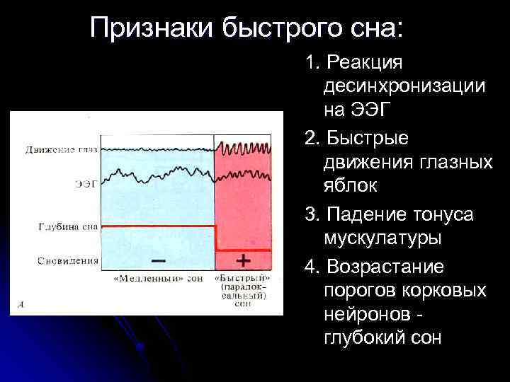 Признаки быстрого сна: 1. Реакция десинхронизации на ЭЭГ 2. Быстрые движения глазных яблок 3.