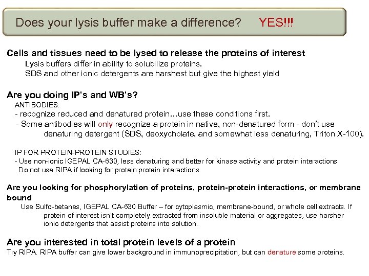 Does your lysis buffer make a difference? YES!!! Cells and tissues need to be