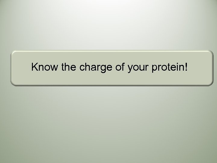 Know the charge of your protein! 