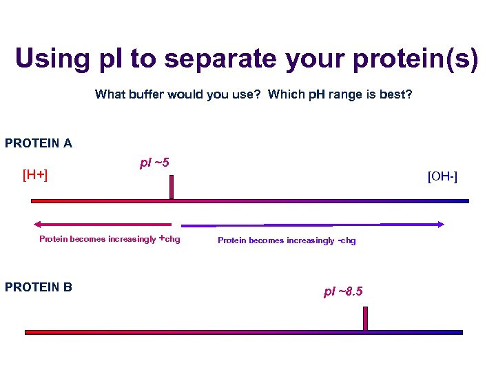 Using p. I to separate your protein(s) What buffer would you use? Which p.