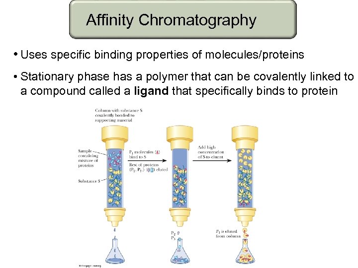 Affinity Chromatography • Uses specific binding properties of molecules/proteins • Stationary phase has a