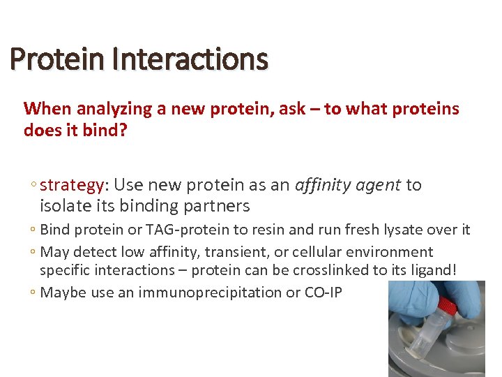 Protein Interactions When analyzing a new protein, ask – to what proteins does it
