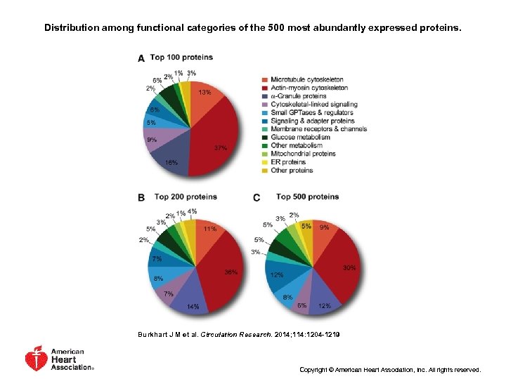 Distribution among functional categories of the 500 most abundantly expressed proteins. Burkhart J M