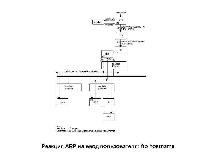 Реакция ARP на ввод пользователя: ftp hostname 