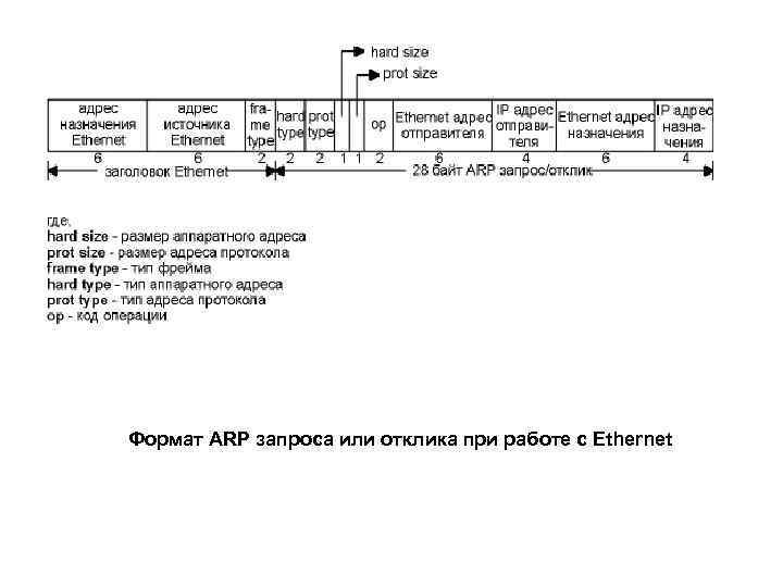 Формат ARP запроса или отклика при работе с Ethernet 