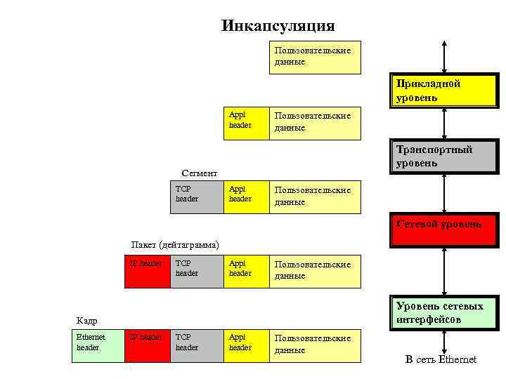 Инкапсуляция Пользовательские данные Прикладной уровень Appl header Пользовательские данные Транспортный уровень Сегмент TCP header