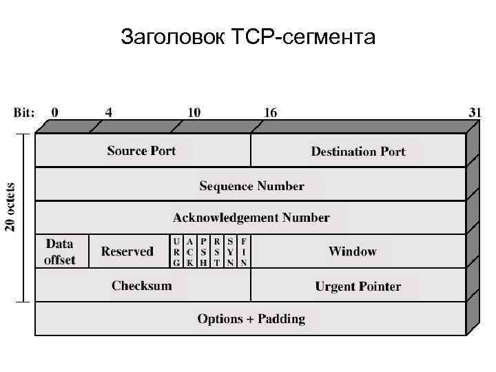 Заголовок TCP-сегмента 