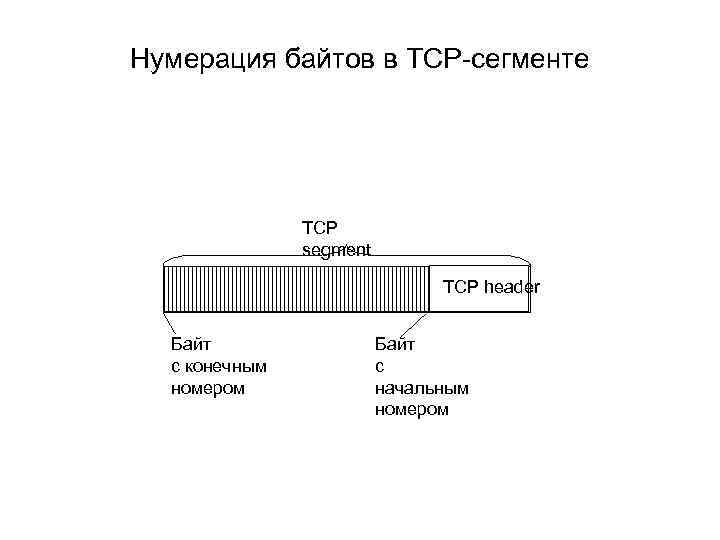 Нумерация байтов в TCP-сегменте TCP segment TCP header Байт с конечным номером Байт с