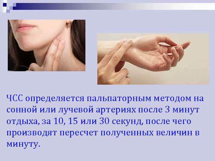 ЧСС определяется пальпаторным методом на сонной или лучевой артериях после 3 минут отдыха, за