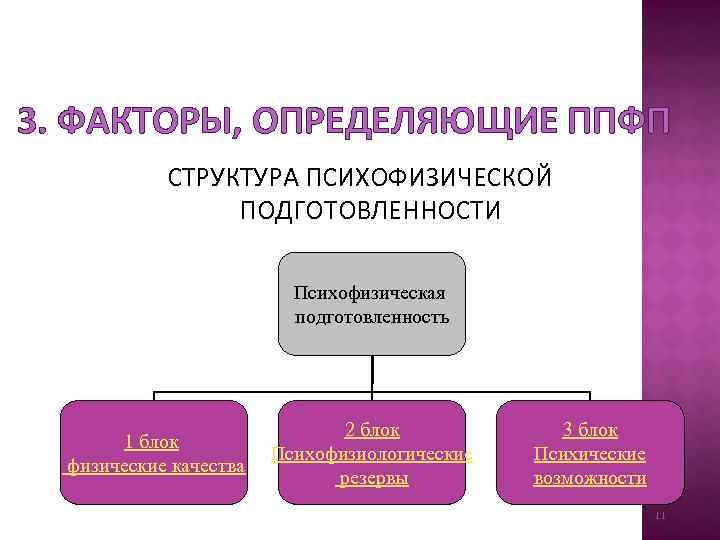 3. ФАКТОРЫ, ОПРЕДЕЛЯЮЩИЕ ППФП СТРУКТУРА ПСИХОФИЗИЧЕСКОЙ ПОДГОТОВЛЕННОСТИ Психофизическая подготовленность 1 блок физические качества 2