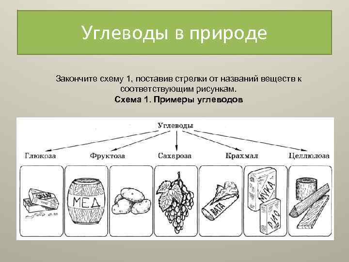 Закончите схему супы состоят из двух частей