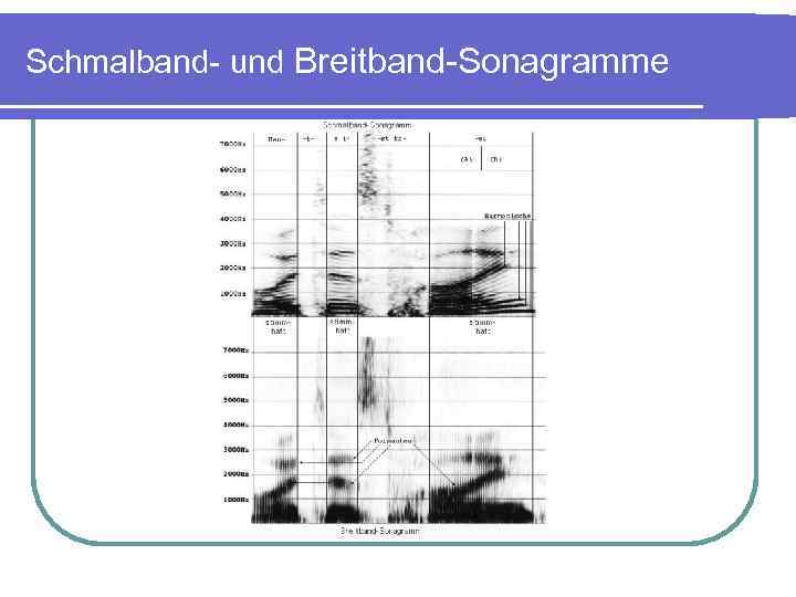 Schmalband- und Breitband-Sonagramme 