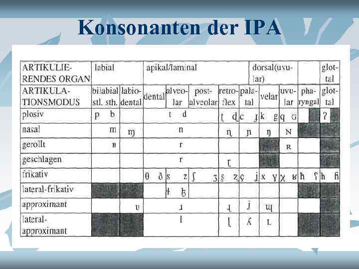 Konsonanten der IPA 
