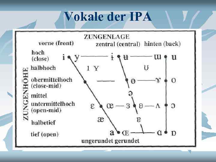 Vokale der IPA 