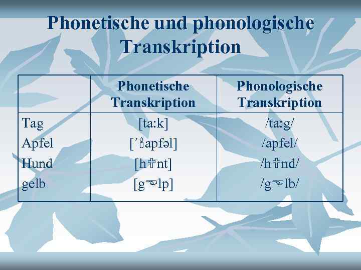 Phonetische und phonologische Transkription Tag Apfel Hund gelb Phonetische Transkription [ta: k] [´ apfəl]