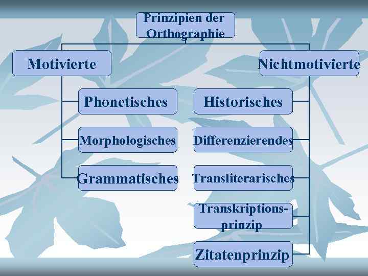 Prinzipien der Orthographie Motivierte Nichtmotivierte Phonetisches Historisches Morphologisches Differenzierendes Grammatisches Transliterarisches Transkriptionsprinzip Zitatenprinzip 