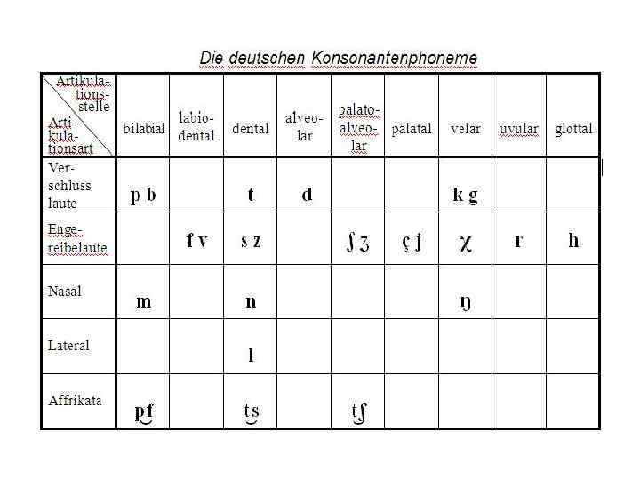 Vokal- und Konsonantensystem des Deutschen 1 Vokale