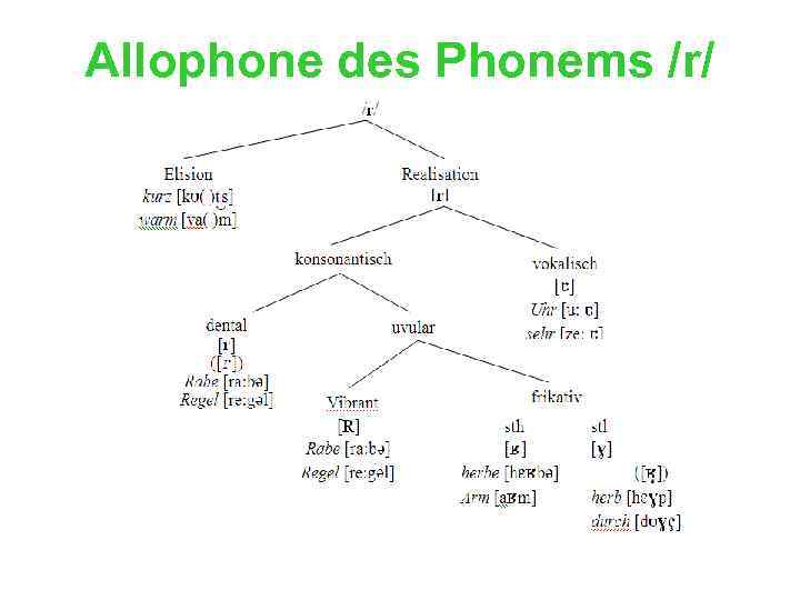 Allophone des Phonems /r/ 