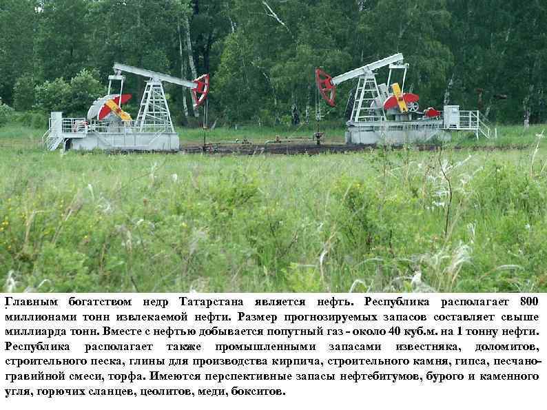 Главным богатством недр Татарстана является нефть. Республика располагает 800. миллионами тонн извлекаемой нефти. Размер