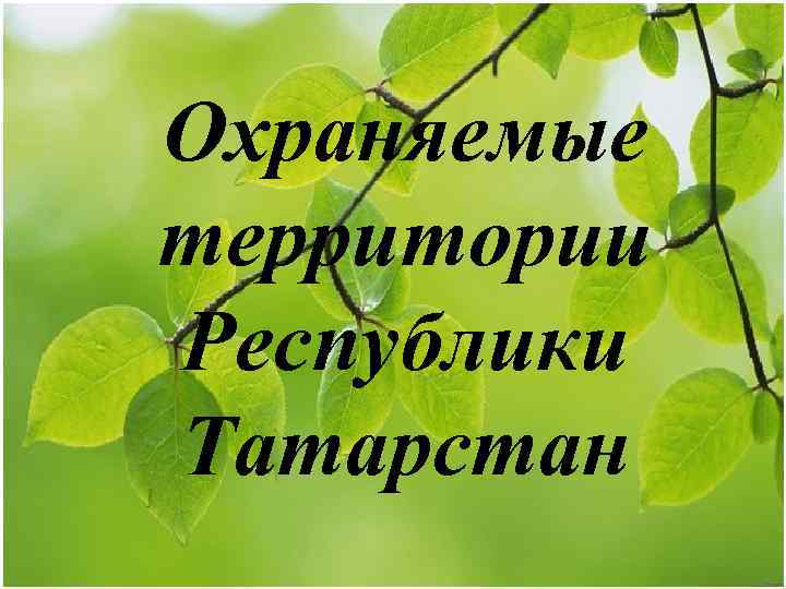 Особо охраняемые природные территории татарстана презентация